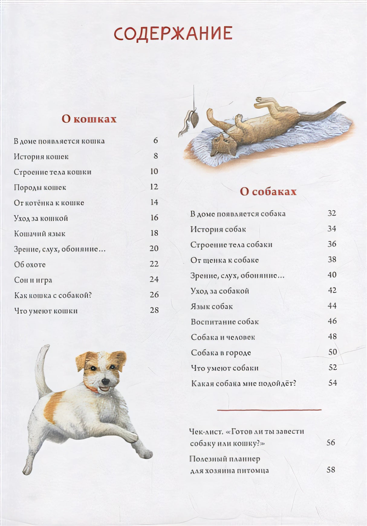 Моя самая красивая книга о кошках и собаках 978-5-00116-692-4 - 1