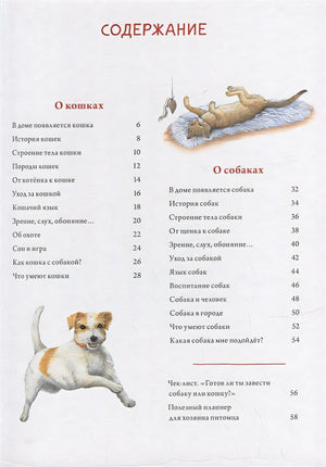 Моя самая красивая книга о кошках и собаках 978-5-00116-692-4 - 1