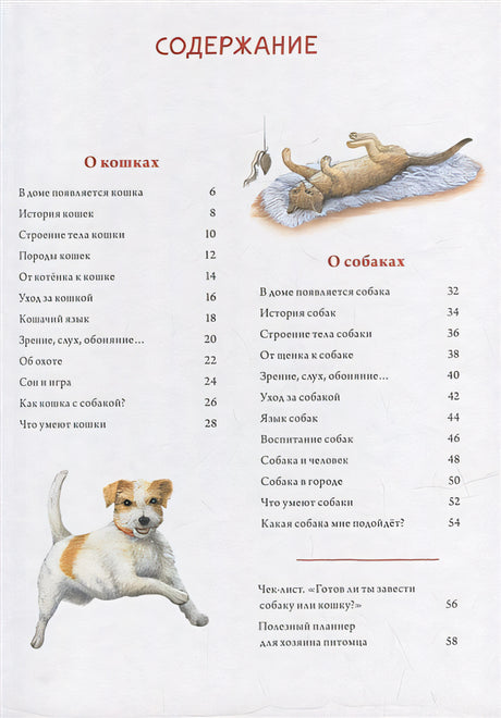 Моя самая красивая книга о кошках и собаках 978-5-00116-692-4 - 1