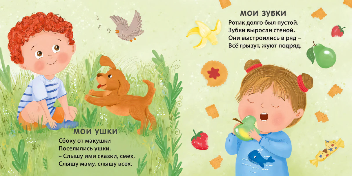 Разворот со стихами «Мои ушки» и «Мои зубки» с детьми, собакой и фруктами
