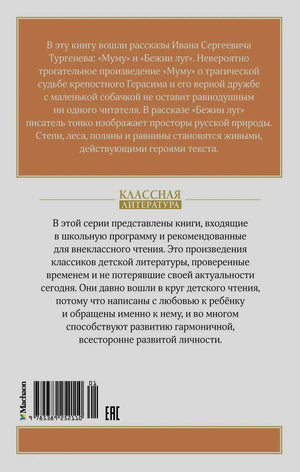 Задняя обложка с аннотацией серии «Классная литература» и штрихкодом