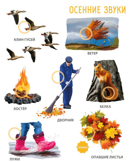 50 звуков. Мир вокруг меня 9785436607986