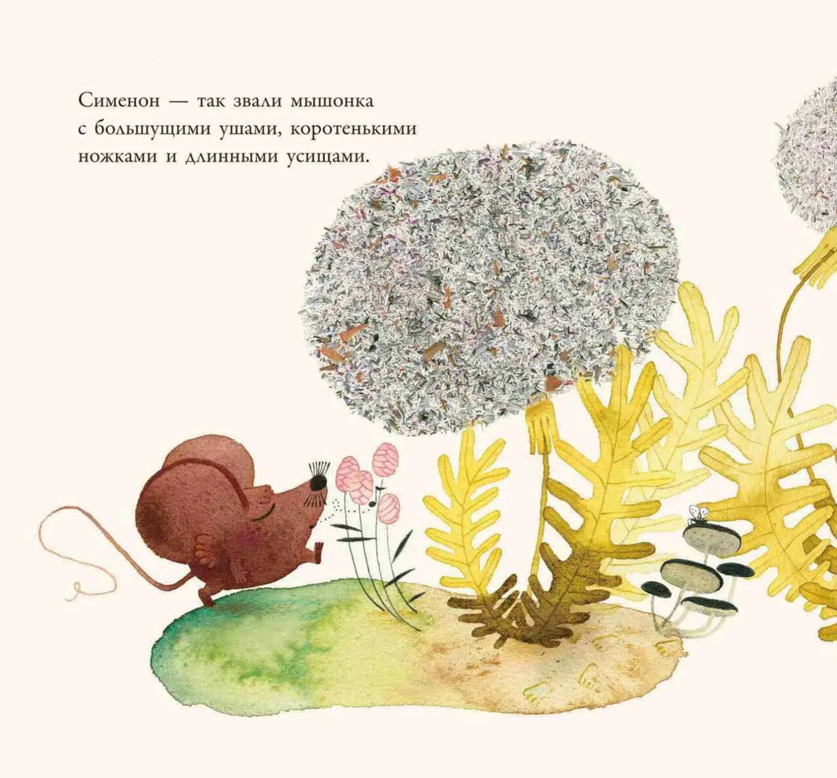 Страница книги: мышонок Симеон среди растений и грибов, вводный текст.