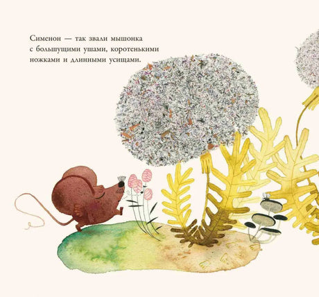 Страница книги: мышонок Симеон среди растений и грибов, вводный текст.