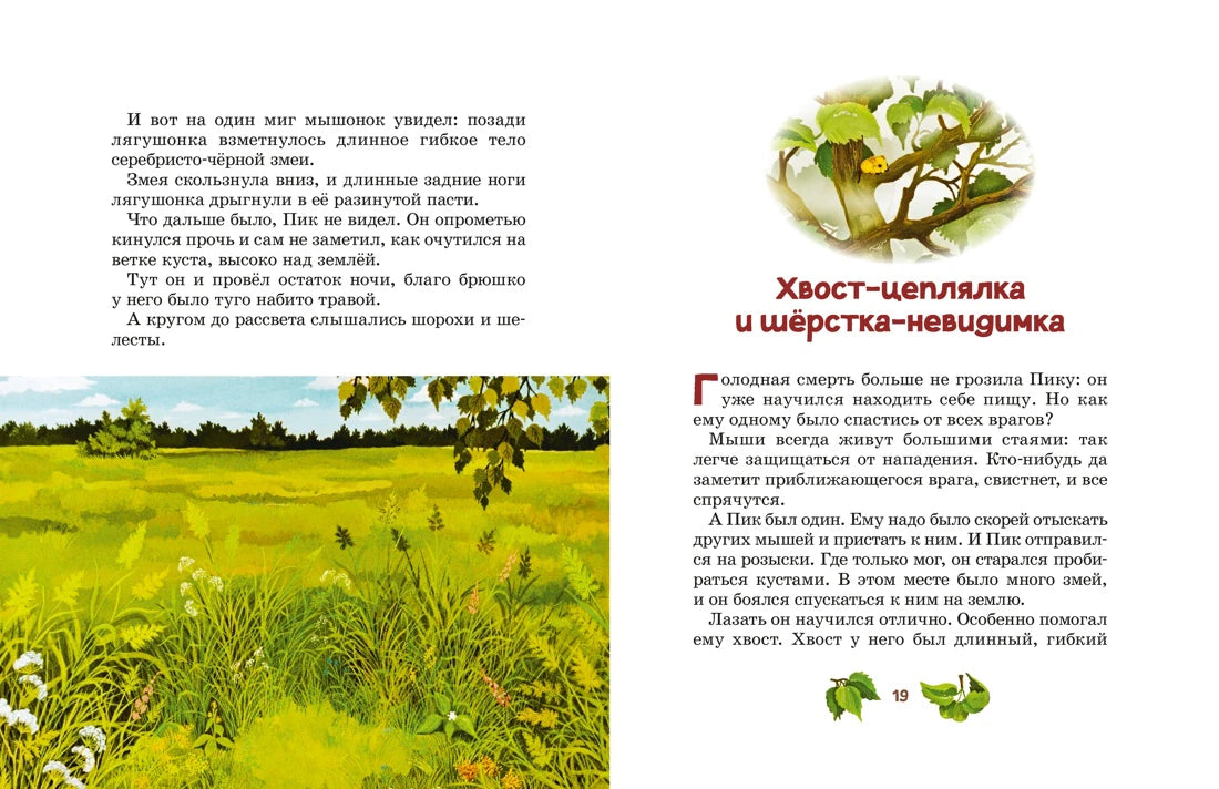 Разворот страниц 18–19 с луговым пейзажем и главой о хвосте мышонка