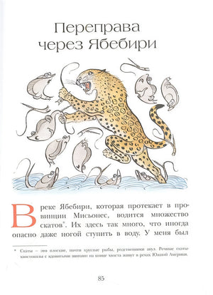 На берегах Ябебири 978-5-00041-546-7 - 1