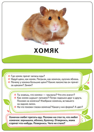 Карточка с хомяком и вопросами для развития ребёнка