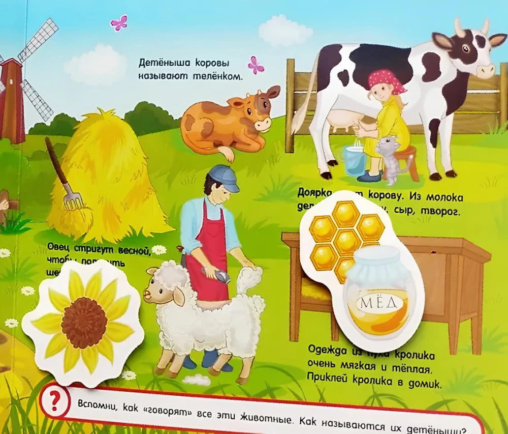 Разворот о детёнышах фермерских животных с коровой, телёнком и овцами.
