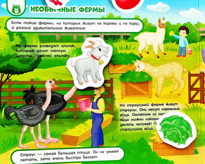 Разворот «Необычные фермы» с альпакой, страусом и заданиями на липучках.