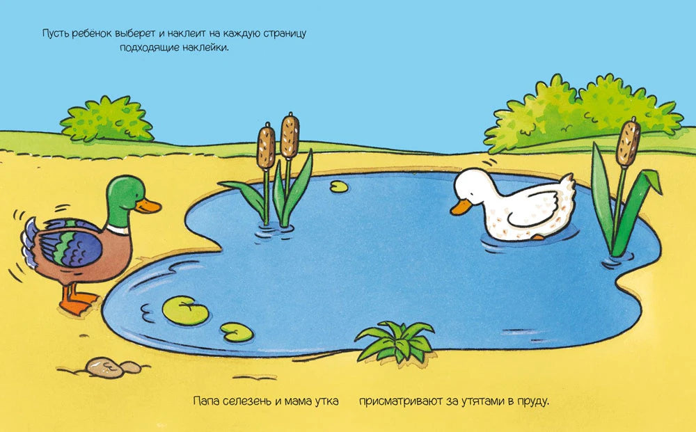 Страница с утками у пруда и заданием наклеить утят.