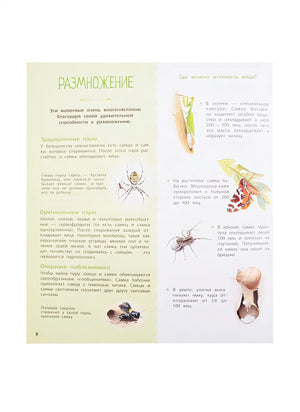 Насекомые и другие маленькие животные 978-5-9951-4639-1 - 4