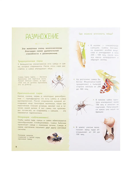 Насекомые и другие маленькие животные 978-5-9951-4639-1 - 4