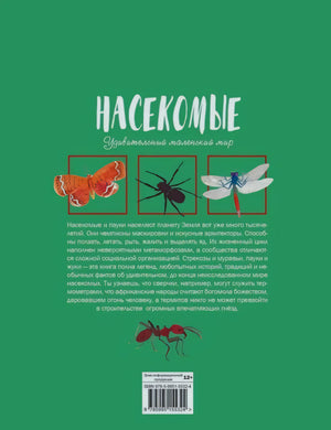Задняя обложка с описанием книги и ISBN