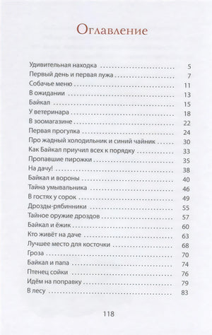 Найден щенок! Просьба не беспокоиться... 978-5-91921-959-0 - 1