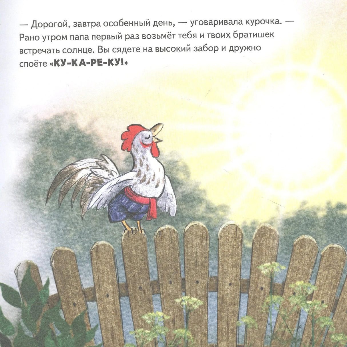Петух на заборе встречает солнце, сверху текст сказки