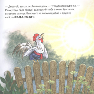 Петух на заборе встречает солнце, сверху текст сказки