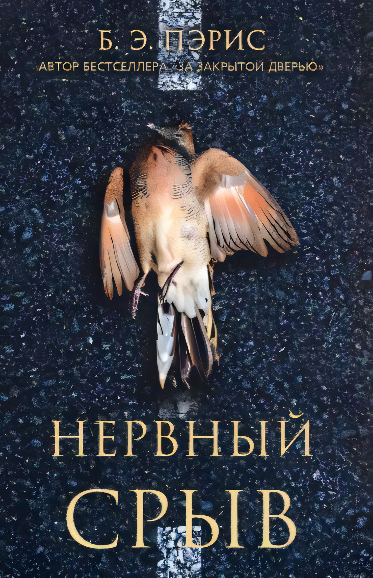 Пэрис Б.Э. / Нервный срыв(PocketBook) /   / Синдбад 9785001312628