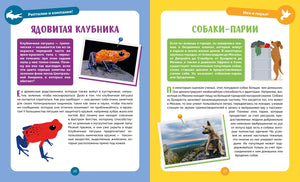 Разворот страниц 26–27 о клубничной лягушке и собаках-париях