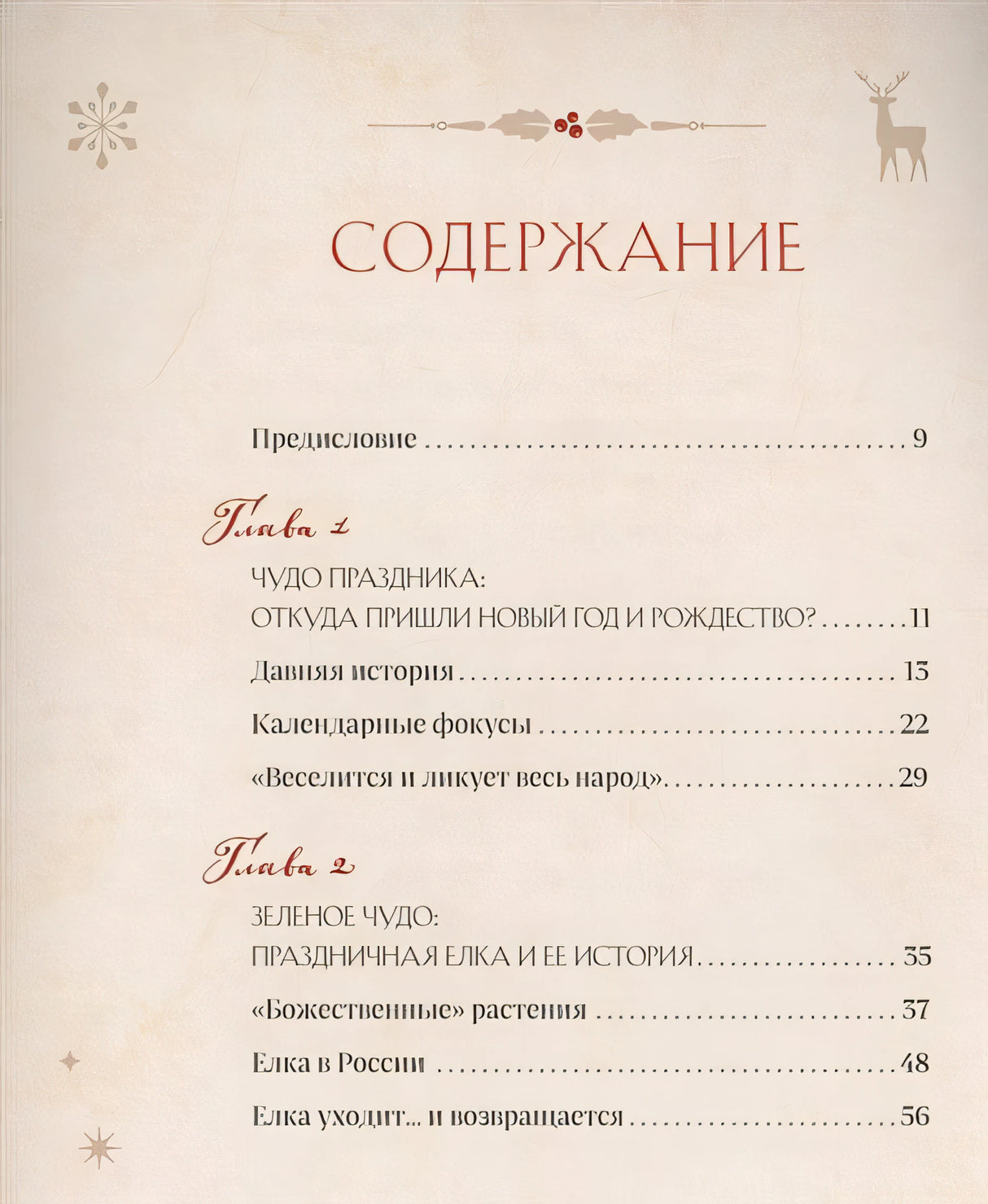Товары на Новый год 978-5-04-164628-8 - 4