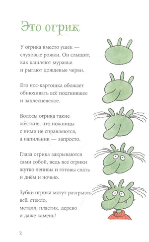 Огрики: Куда хотим, туда летим! 9785961472158