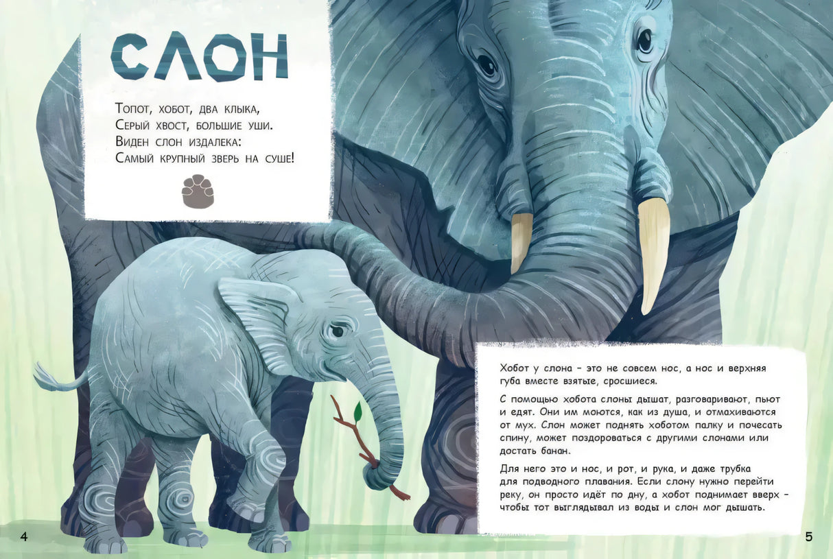 Разворот 4–5: раздел «Слон» с большими слонами