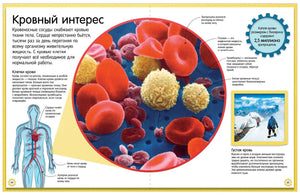 Удивительные энциклопедии. Как устроено тело человека.