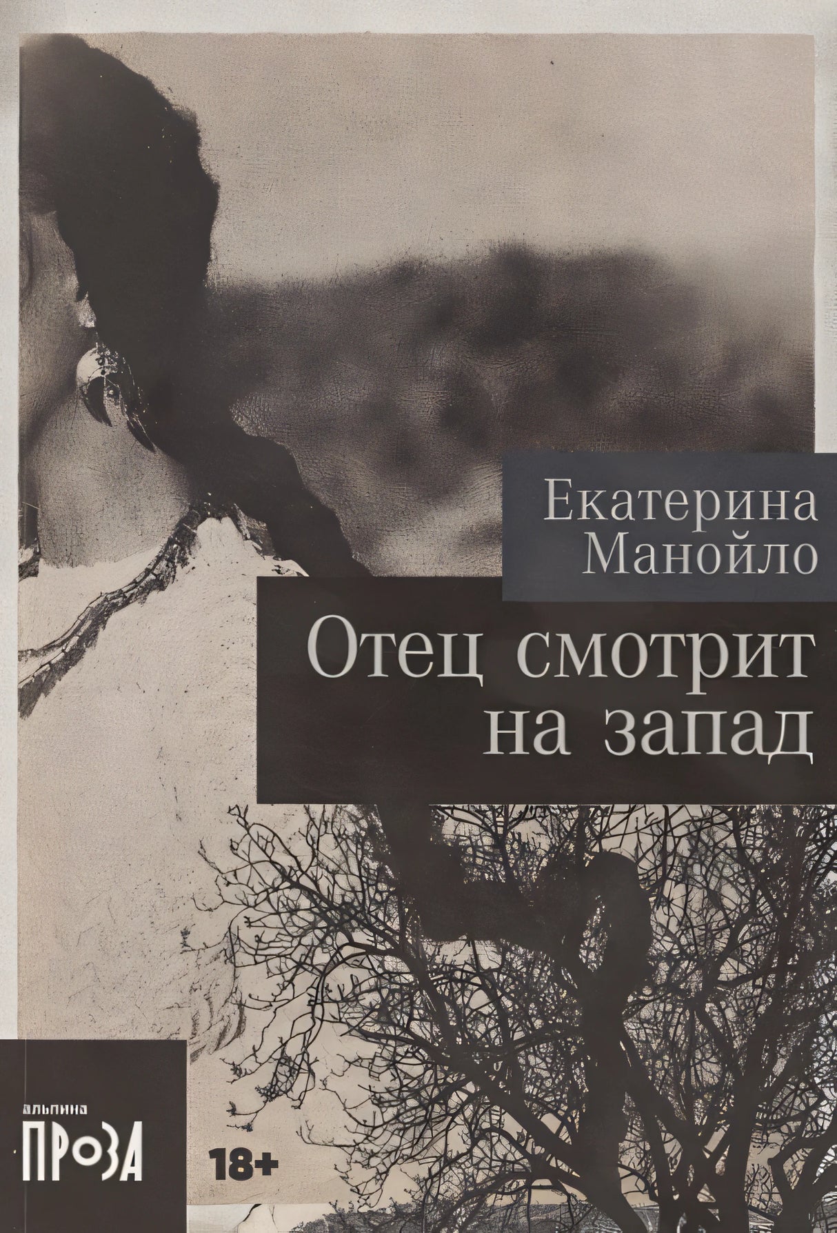 Обложка Отец смотрит на запад 978-5-00223-160-7
