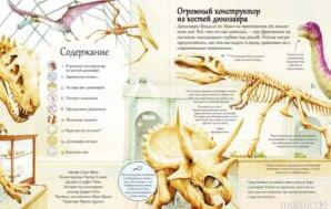 Книга "Открой тайны динозавров" - разворот с иллюстрациями