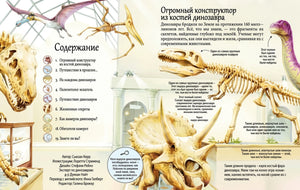 Книга "Открой тайны динозавров" - разворот с иллюстрациями