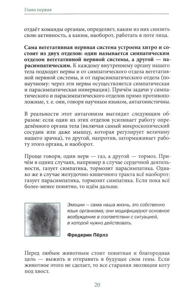 Страница 20 с текстом о симпатическом и парасимпатическом отделах нервной системы