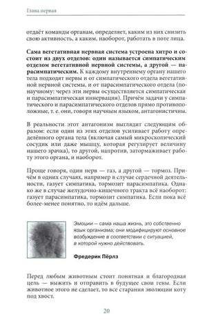 Страница 20 с текстом о симпатическом и парасимпатическом отделах нервной системы