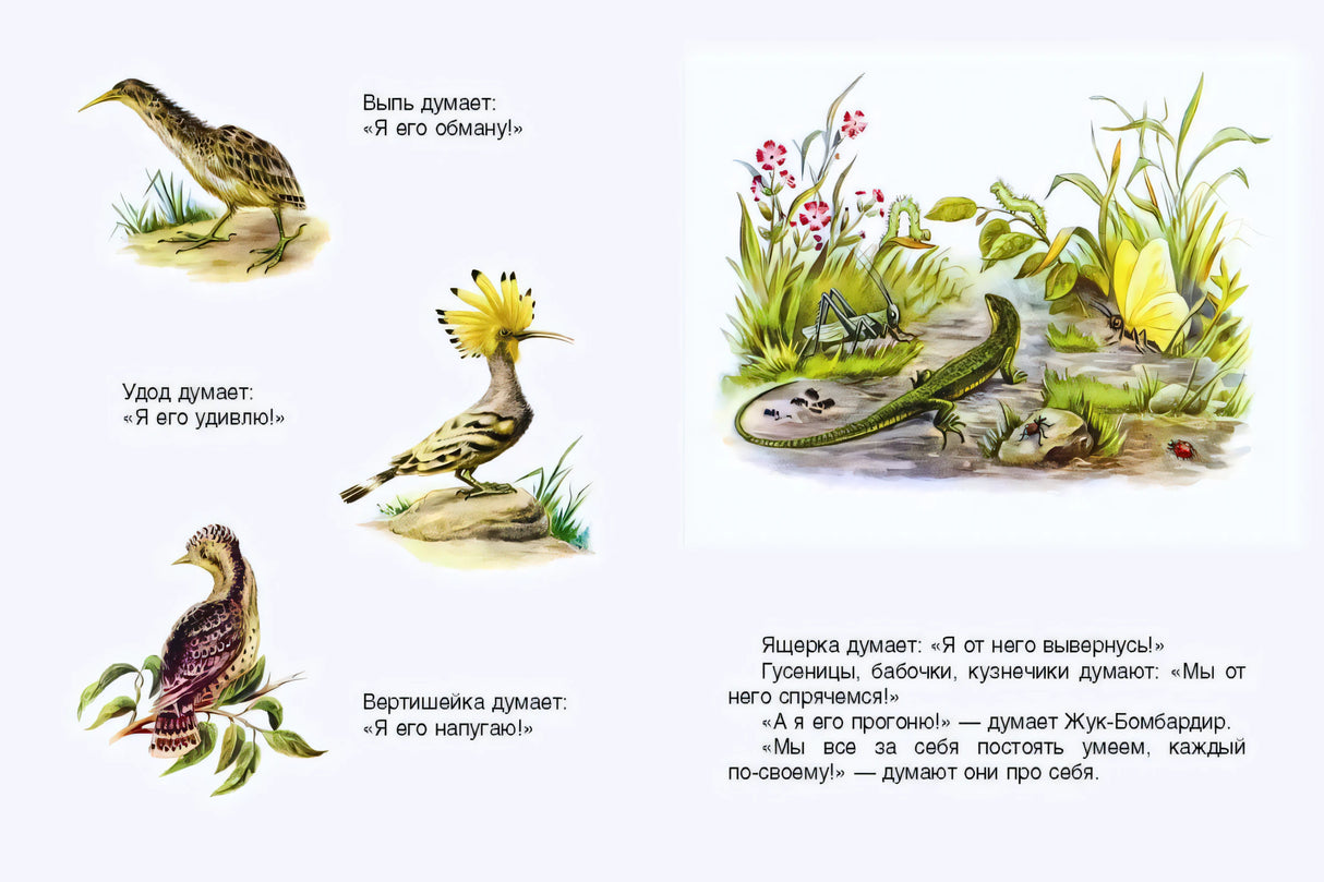 Разворот с птицами, ящерицей и насекомыми; герои думают, как спастись от щенка.