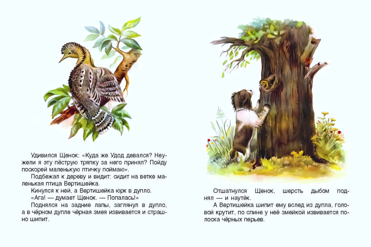 Разворот: вертишейка на ветке и щенок у старого дерева с дуплом.