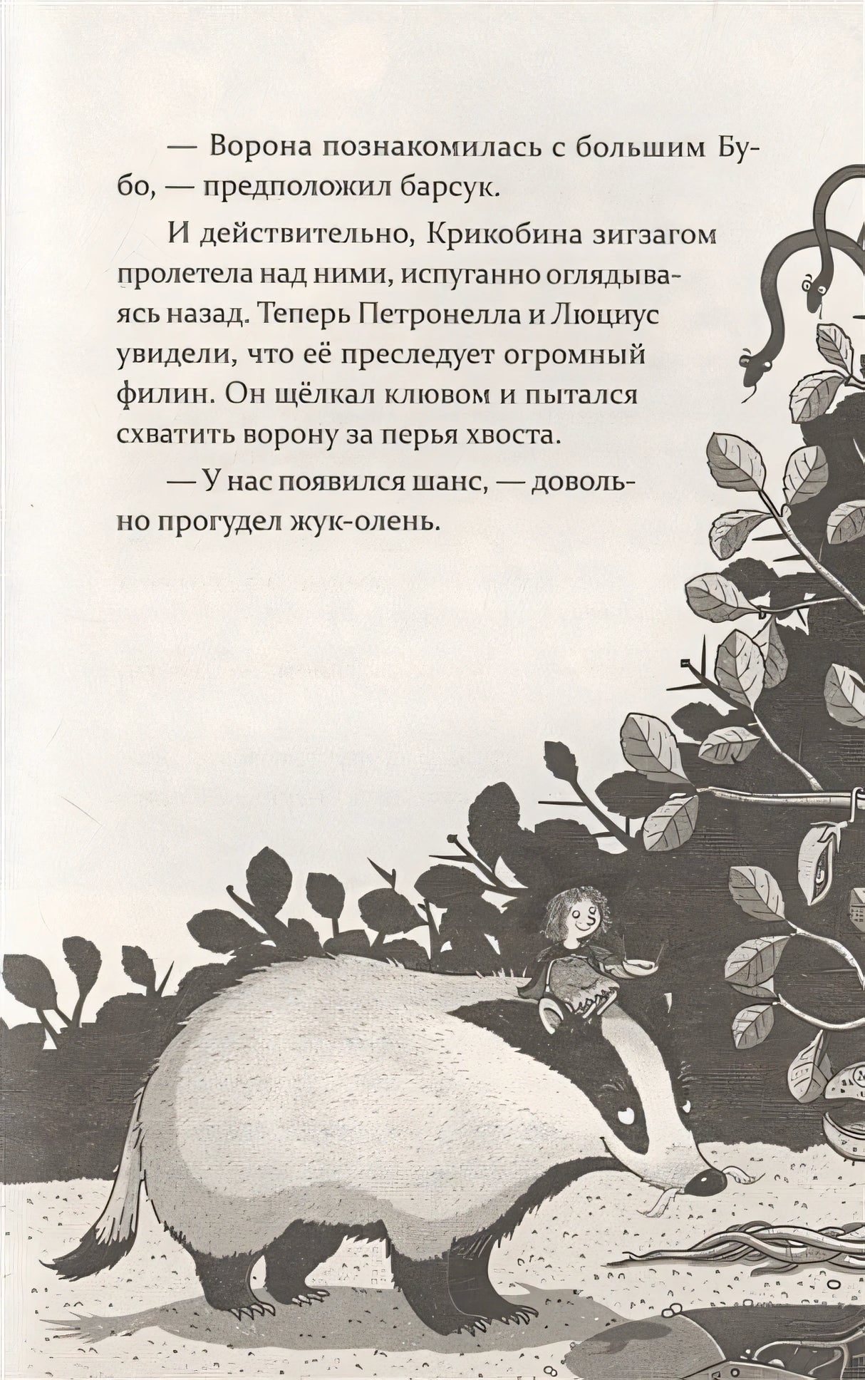 Петронелла и фестиваль волшебников 978-5-00116-467-8 - 4
