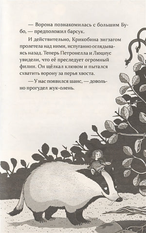 Петронелла и фестиваль волшебников 978-5-00116-467-8 - 4