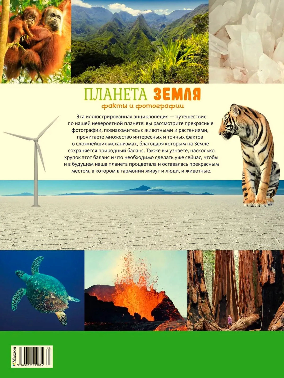Задняя обложка книги с описанием, тигром и фотографиями природы