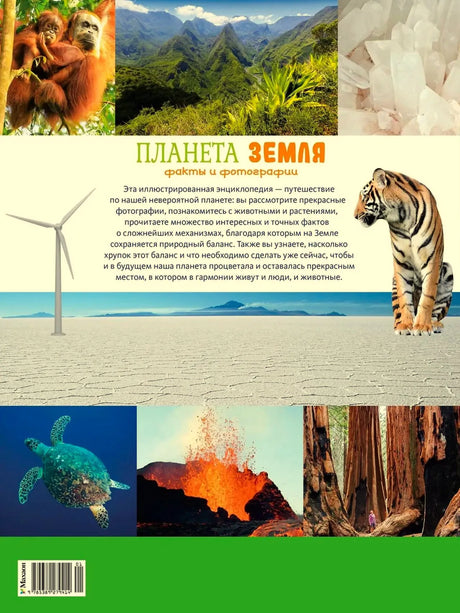 Задняя обложка книги с описанием, тигром и фотографиями природы