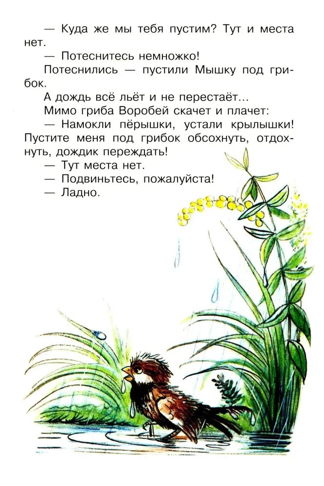 Страница сказки о Мышке и Воробье с иллюстрацией Воробья под дождём.
