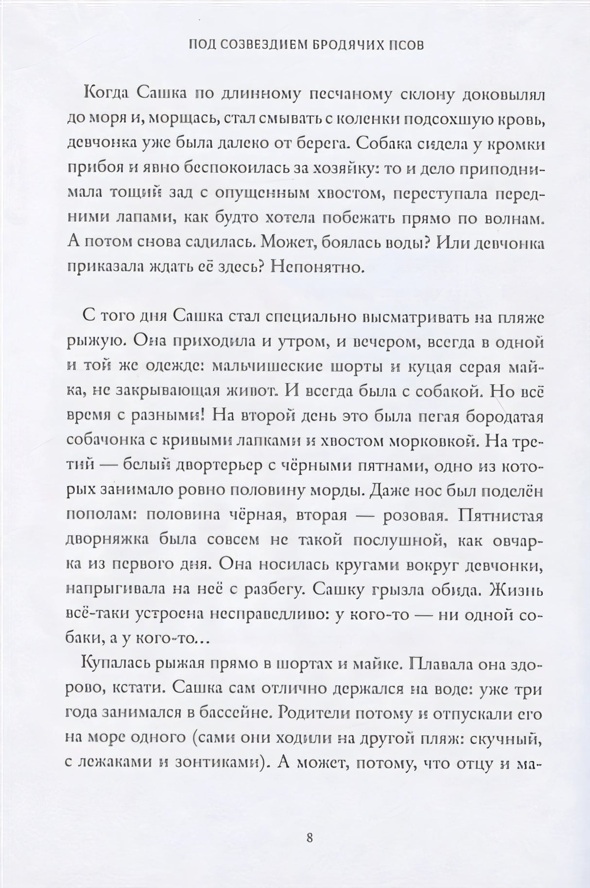 Под созведием Бродячих Псов 978-5-6046082-3-4 - 4