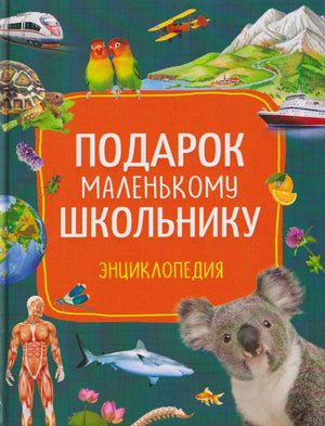 Обложка книги «Подарок маленькому школьнику. Энциклопедия»
