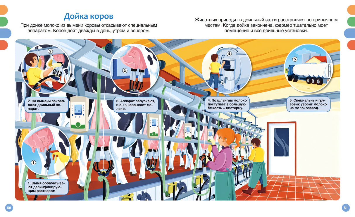 Разворот о дойке коров и работе доильного аппарата