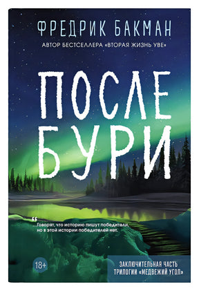 Обложка После бури 978-5-00131-584-1