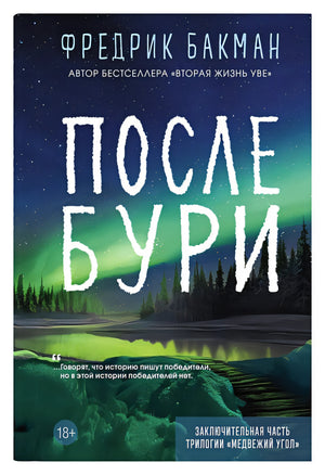 Обложка После бури 978-5-00131-584-1