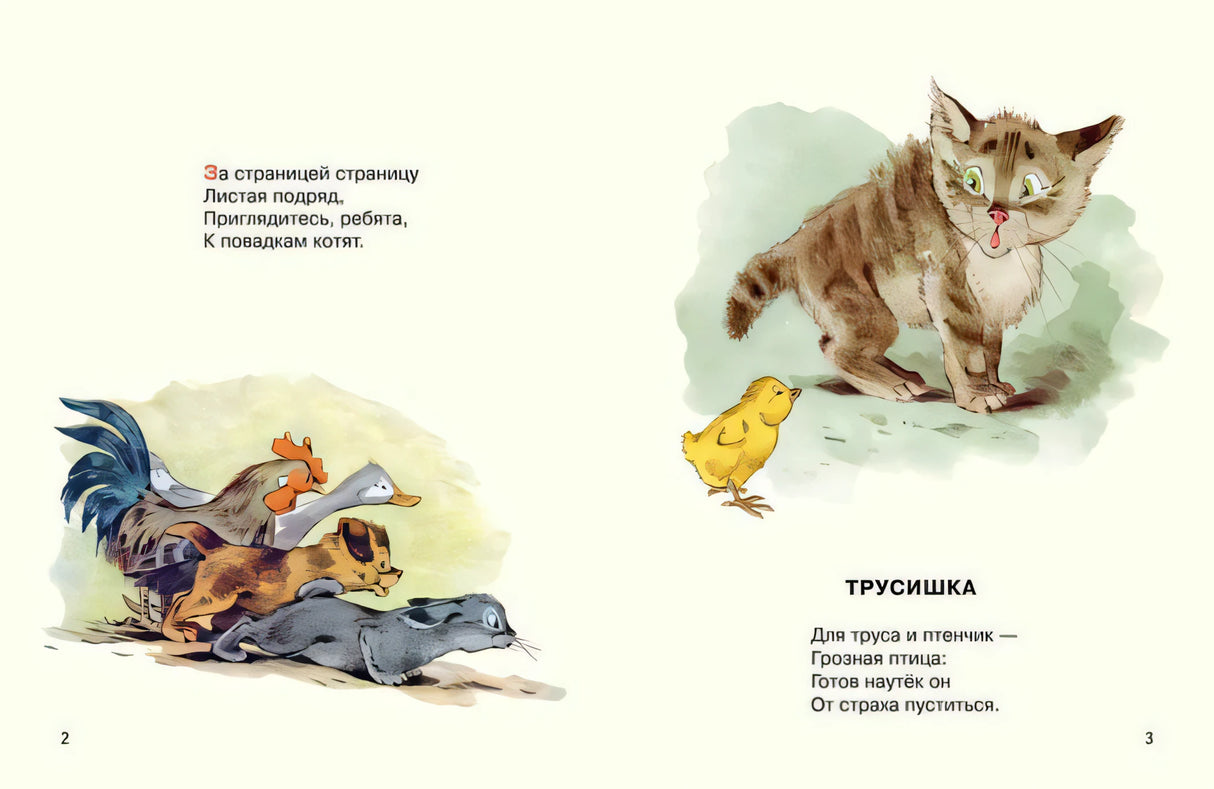 Матвеев: Посмотрите, какие котята 978-5-9268-4499-0 - 1