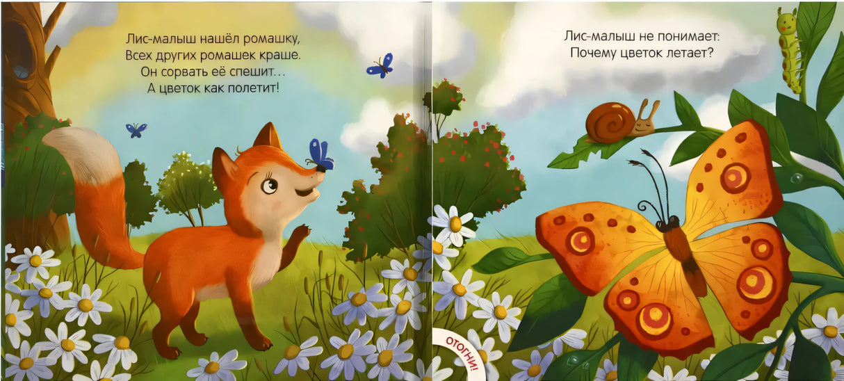 Разворот с лисёнком среди ромашек и большой бабочкой на листьях
