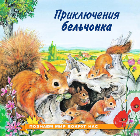 Обложка книги "Приключения бельчонка": бельчата в лесу
