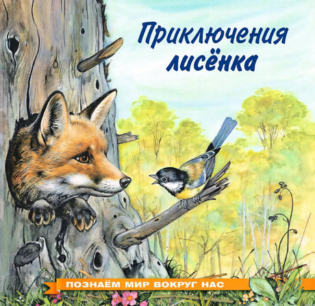 Обложка книги "Приключения лисенка". Познаем мир вокруг нас