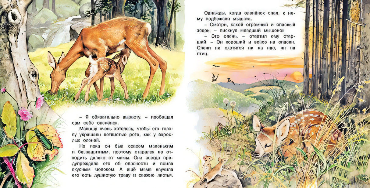 Маленький оленёнок в лесу