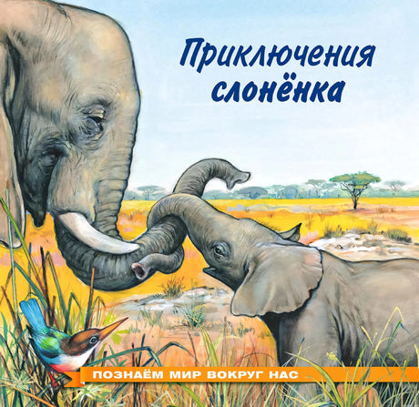 Обложка книги "Приключения слоненка"