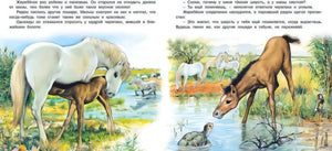 Иллюстрация из книги "Приключения жеребенка". Жеребенок с мамой на берегу реки.